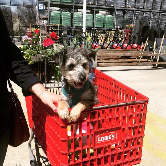 Meet your Posher, Megan - Picture 2 of 2